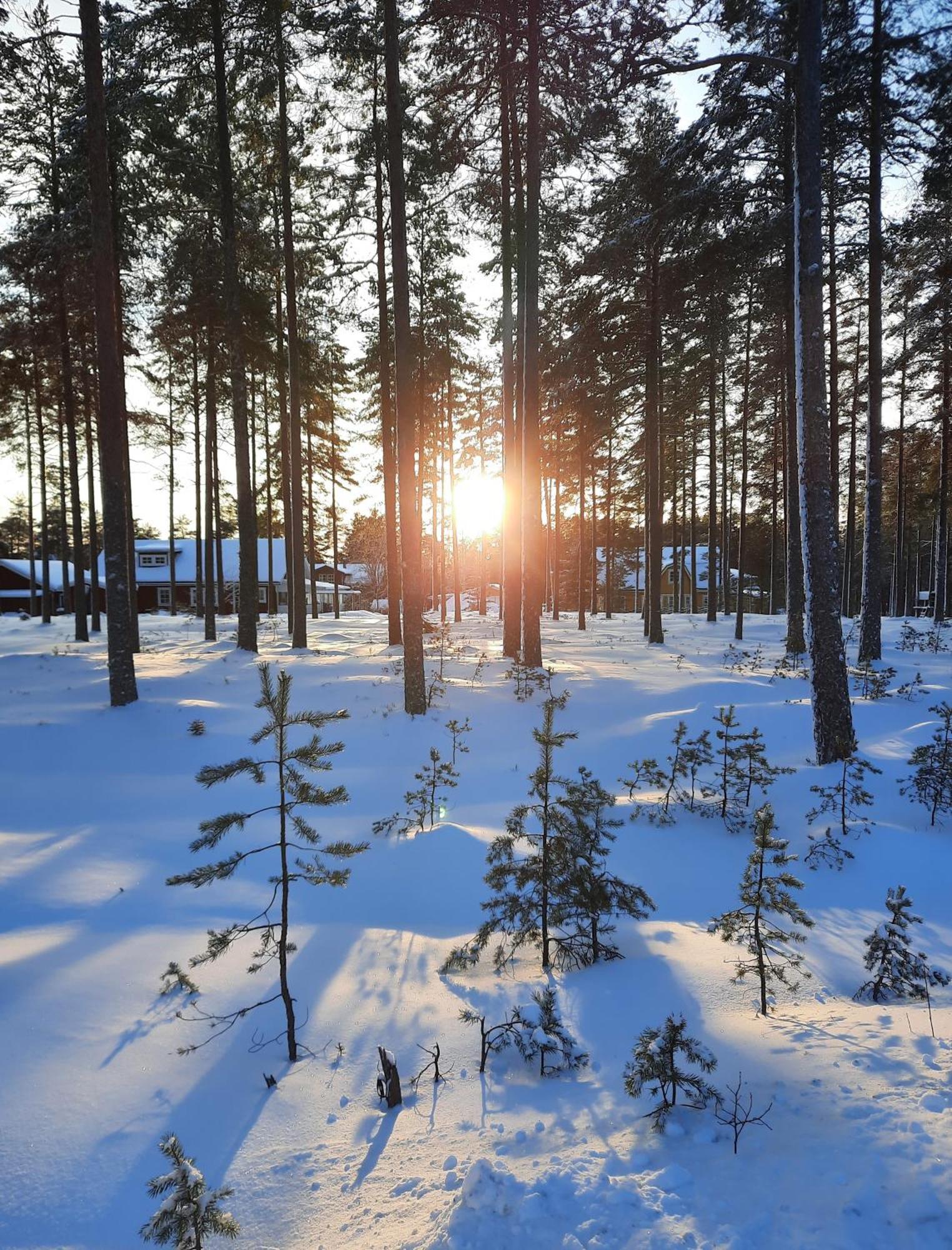 Charmigt hus och mysigt boende! Appartement Hudiksvall Buitenkant foto